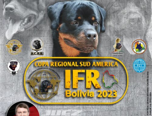 Campeonato Regional I.F.R.