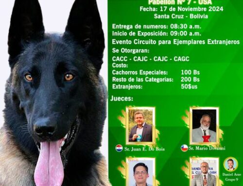 EXPOSICION CANINA  SANTA CRUZ