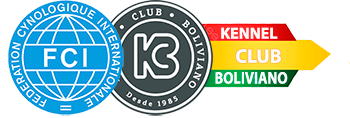 KCB Logo