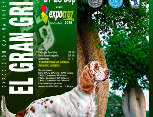 CIRCUITO INTERNACIONAL CANINO «EL GRAN GRIGOTÁ»