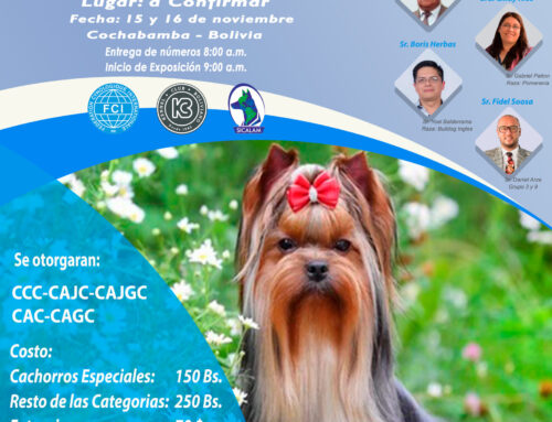 CIERRE DE RANKING 2025