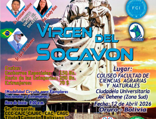 VIRGEN DEL SOCAVON – OR