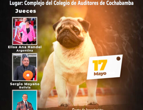 EXPOSICION CANINA COCHABAMBA