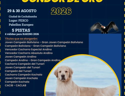 CONDOR DE ORO 2026