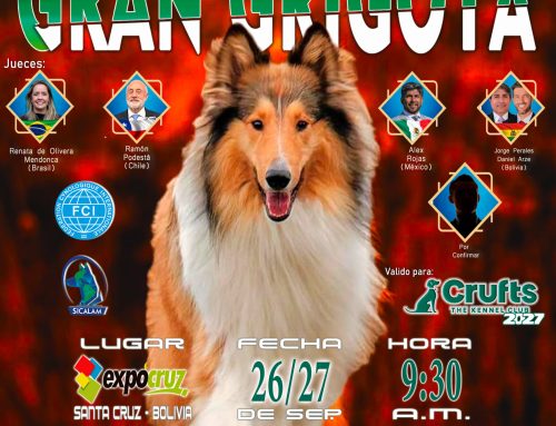 EXPOSICIÓN CANINA INTERNACIONAL EL GRAN GRIGOTA
